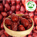 Chinese red lucid dates with cheap price